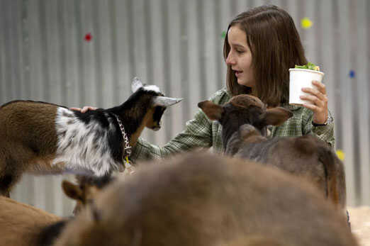 Big Red’s Barn Indoor Animal Experience and Education
