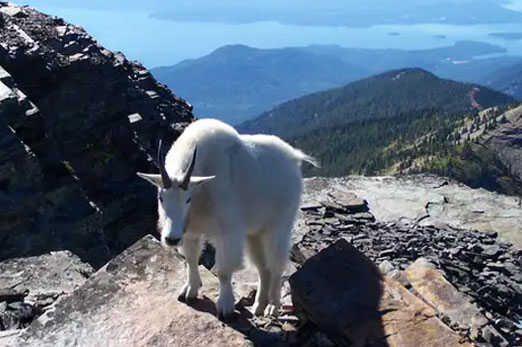 Scotchman’s Peak