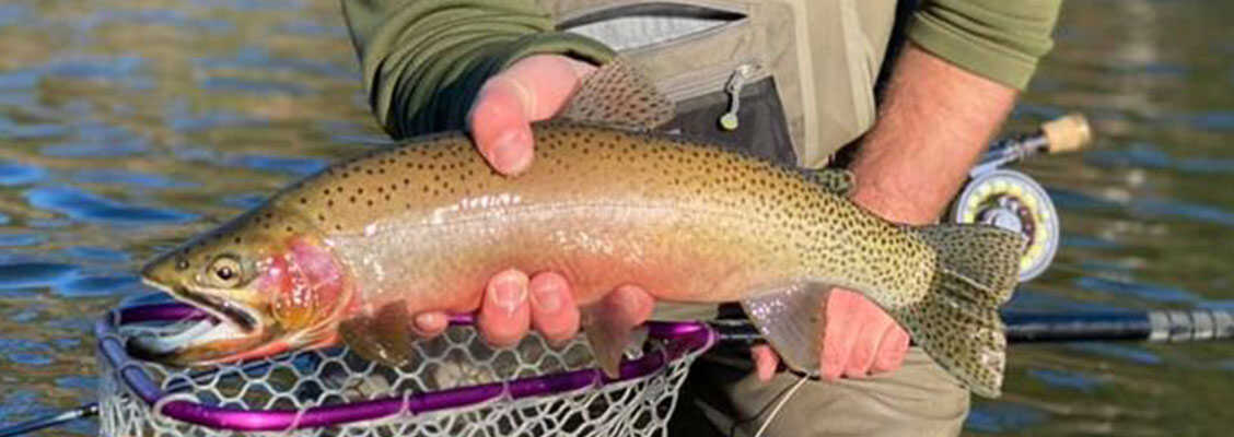 Adventure Awaits With These North Idaho Activities 9 Guided Fishing Tours