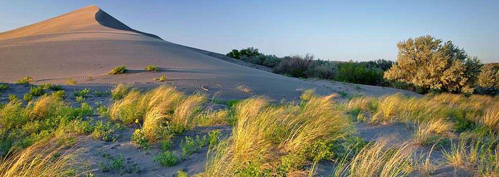 Dunes State Park