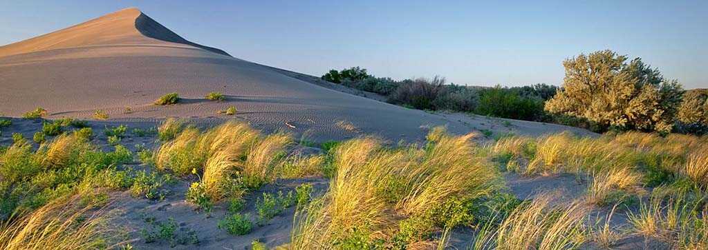 Amazing Things to Do In Idaho For First Time Visitors 12 Dunes State Park