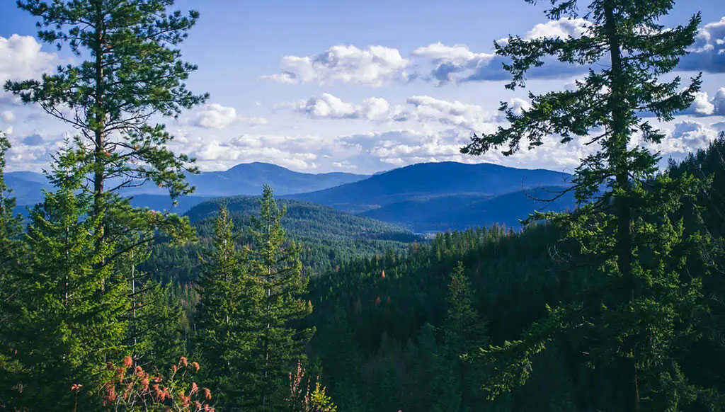 Panhandle National Forest