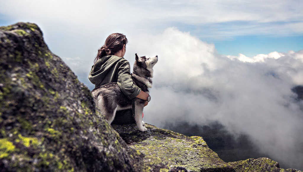 Top Family Activities in Idaho: Fun Things to Do in Wallace with Kids 7 Hiking in Idaho With Dog