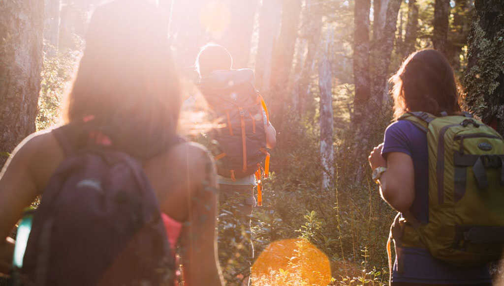 Top Family Activities in Idaho: Fun Things to Do in Wallace with Kids 3 Hiking in Wallace Idaho