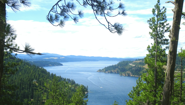Trail of the Coeur d'Alenes: The Complete Guide for Your Idaho Adventure 3 Coeur dAlenes area