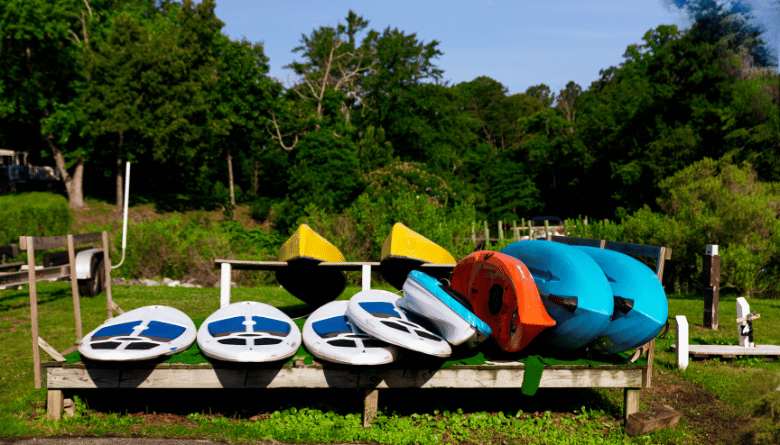 Things to Do in Harrison, Idaho: The Complete Visitor's Guide 4 Paddle boards and kayaks