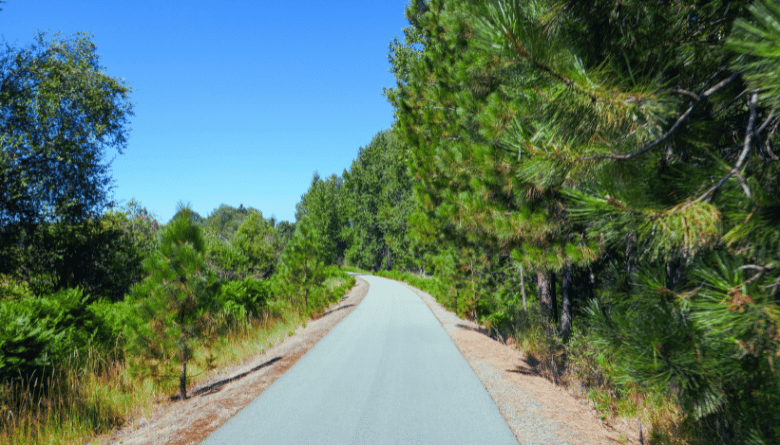 Things to Do in Harrison, Idaho: The Complete Visitor's Guide 3 Trail of the Coeur dAlenes