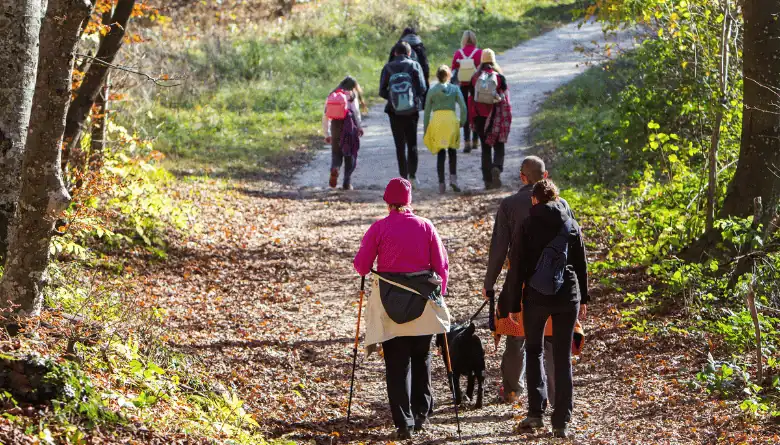 people hiking on a trail 1