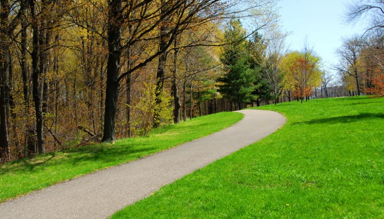 Paved walking path winding through a grassy park lined with spring trees